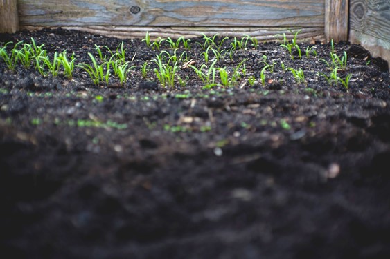 Gardening