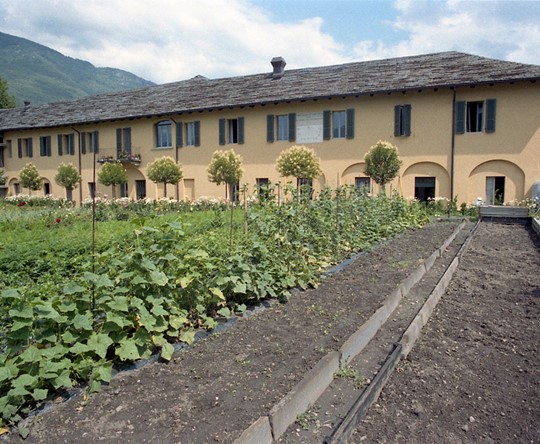 Paganini Rè 100 C 062