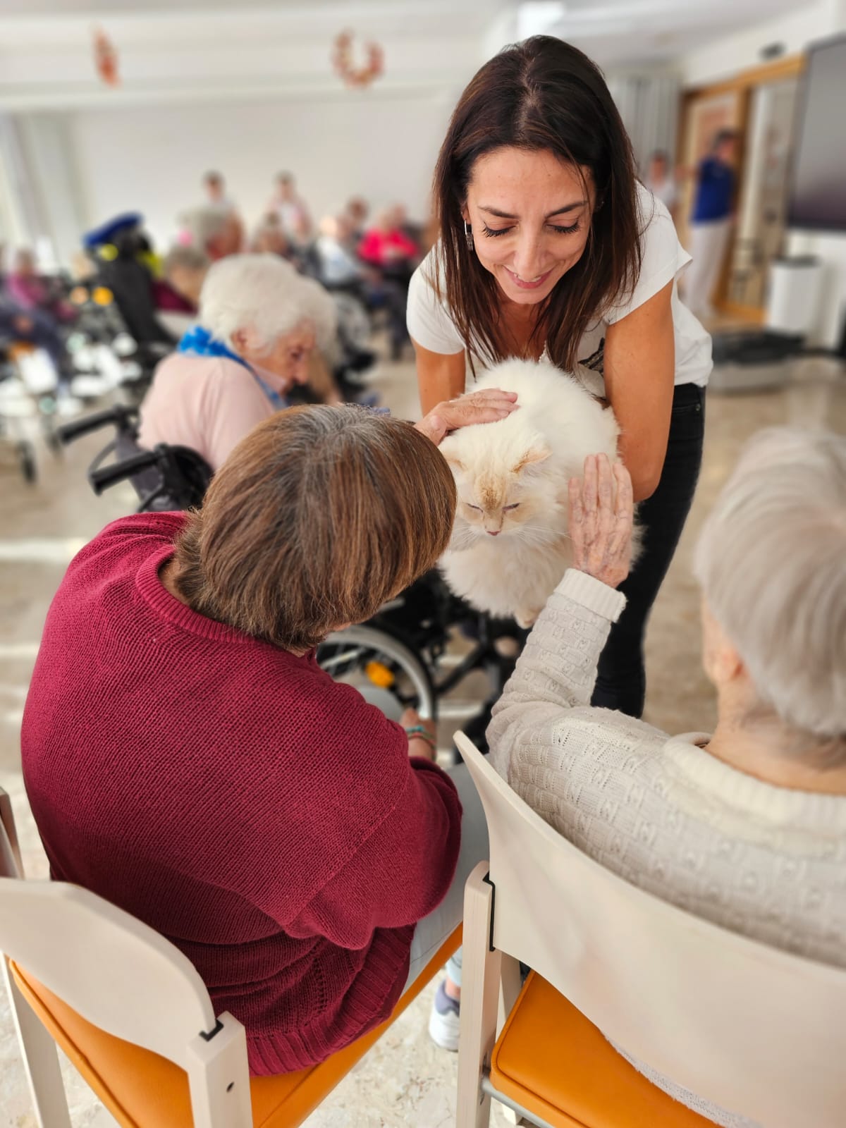 Whatsapp Image 2024 10 02 At 10.44.45 (4)