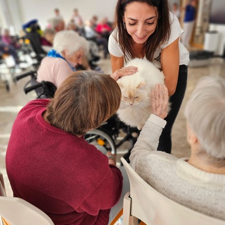 Whatsapp Image 2024 10 02 At 10.44.45 (4)