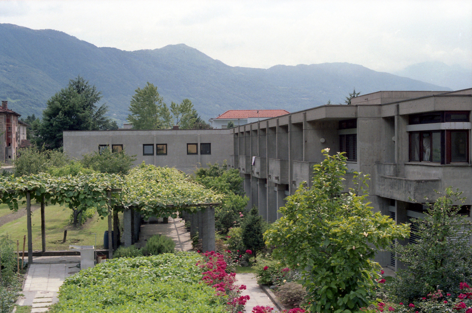 Paganini Rè 100 D 079